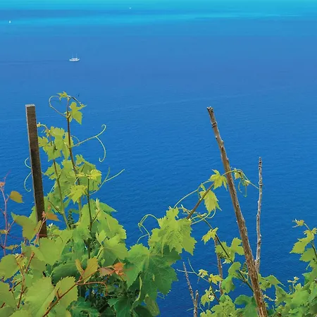 Сasa de vacaciones In With Wifi *